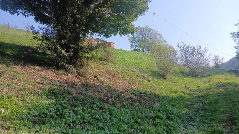 Satılır Torpaq 50 sot Yardımlı - şəkil 4