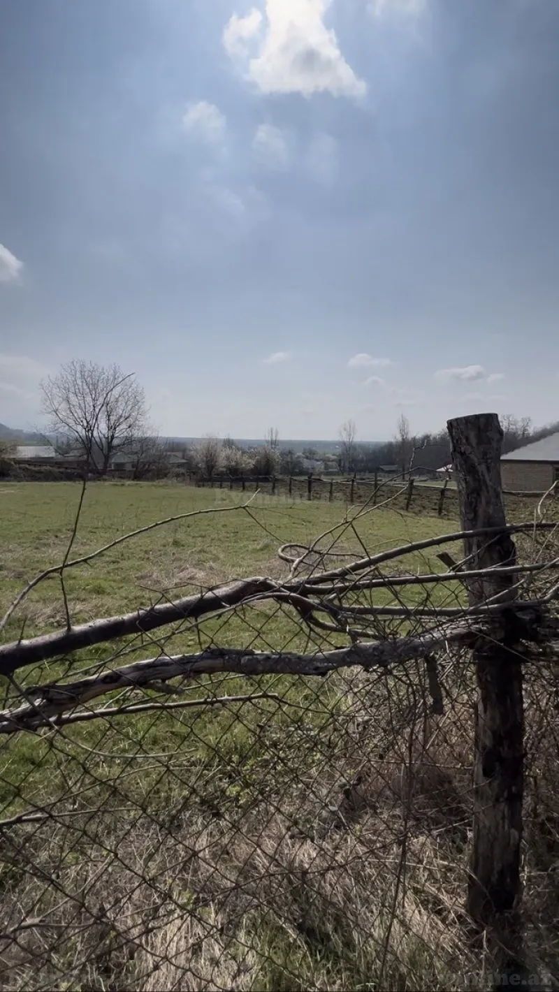 Satılır Torpaq 6 sot Qəbələ