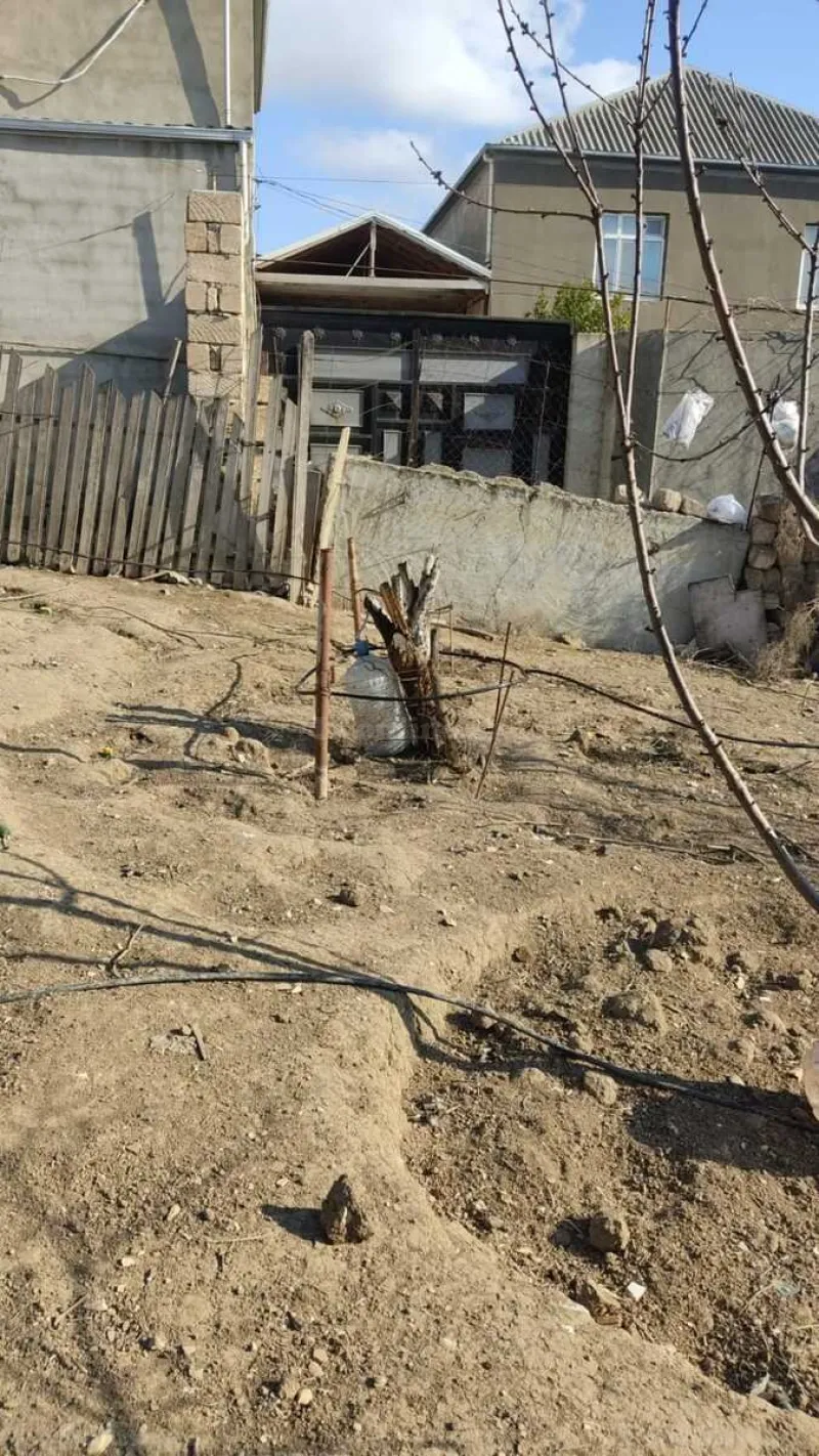 Satılır Torpaq 2 sot Masazır - şəkil 2