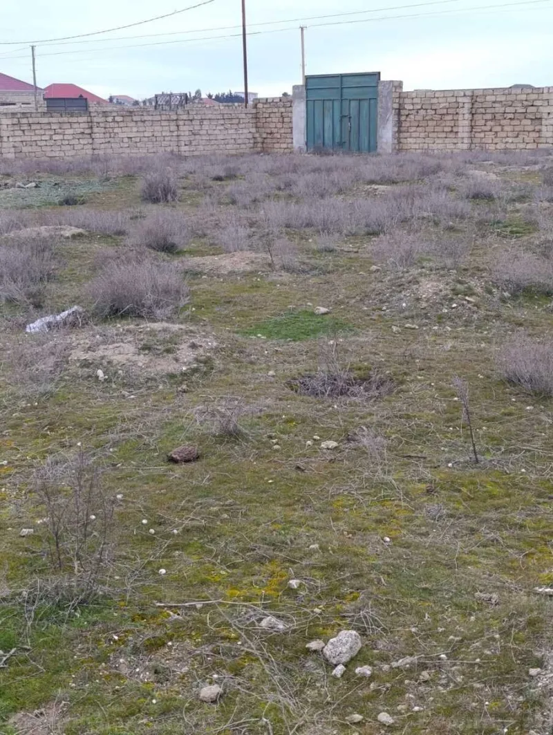 Satılır Torpaq 36 sot Türkan - şəkil 2