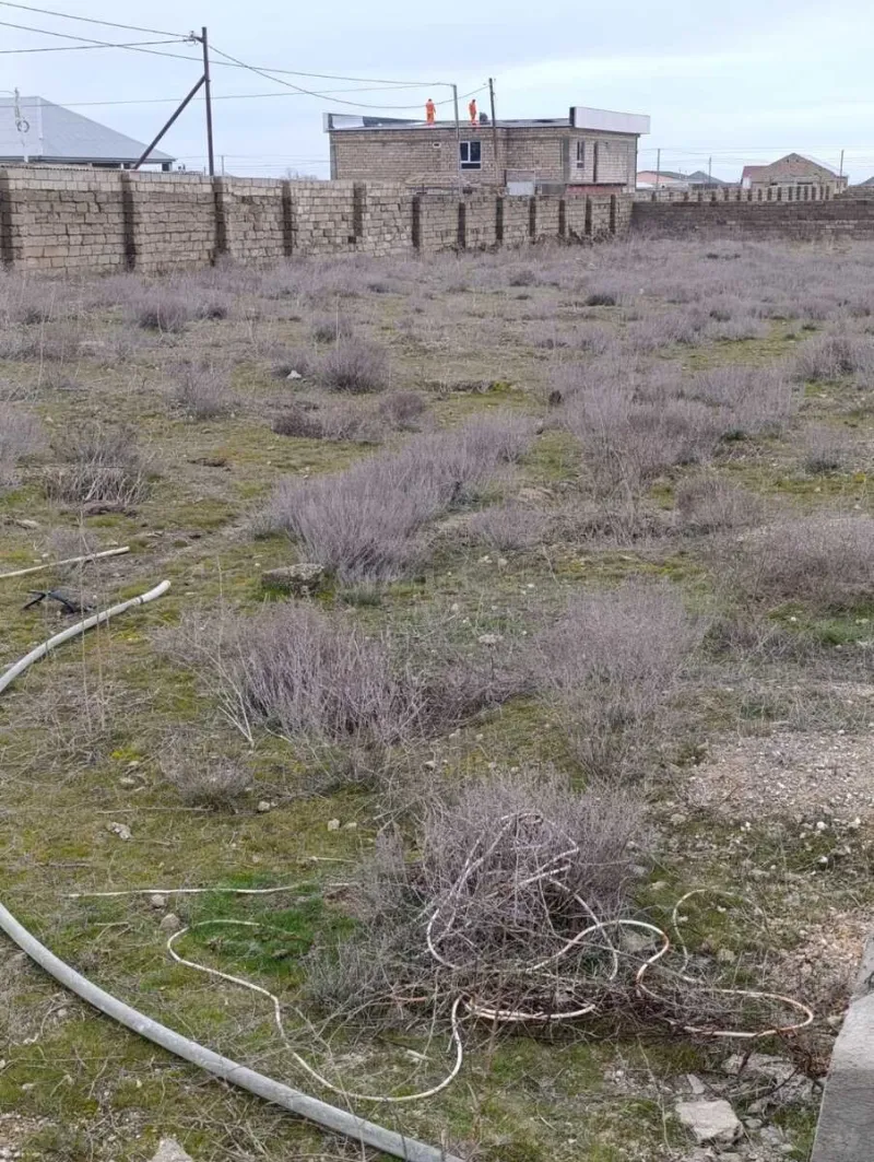 Satılır Torpaq 36 sot Türkan - şəkil 6