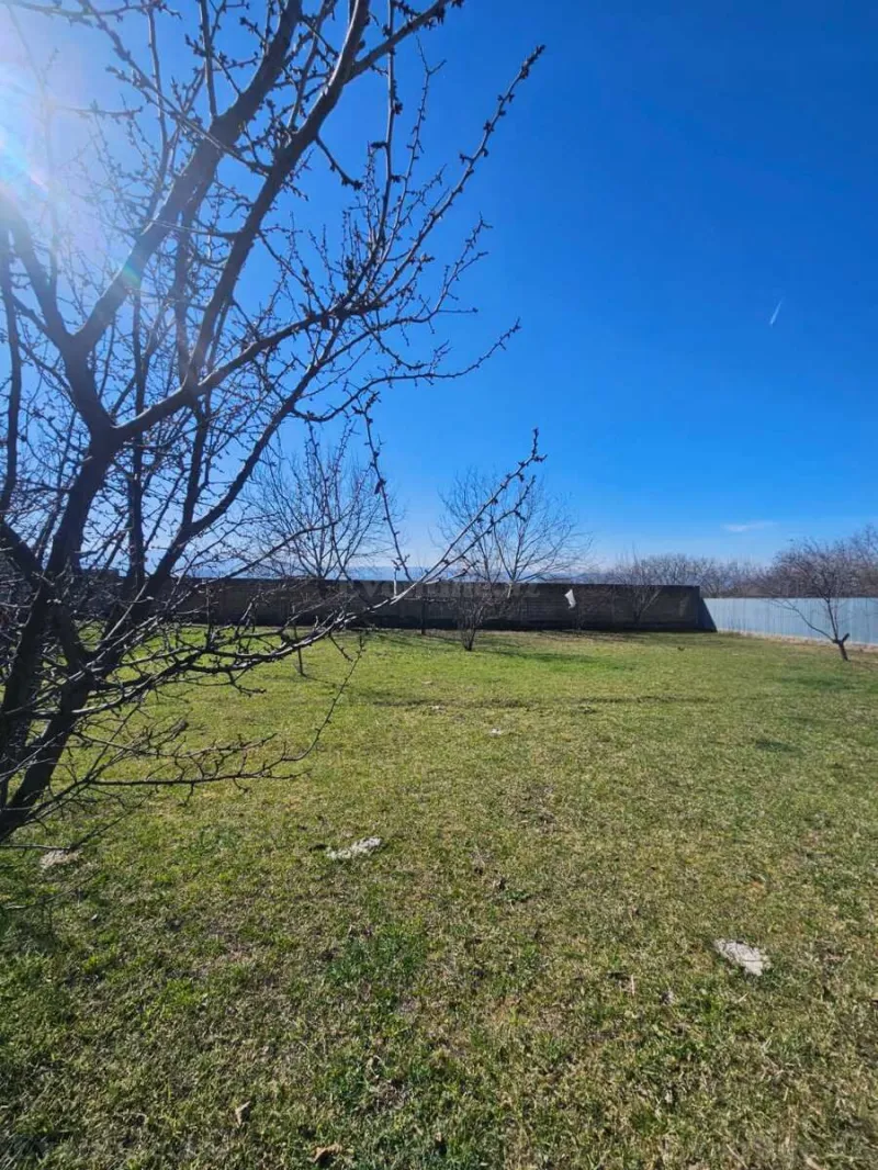 Satılır Torpaq 12 sot İsmayıllı - şəkil 2