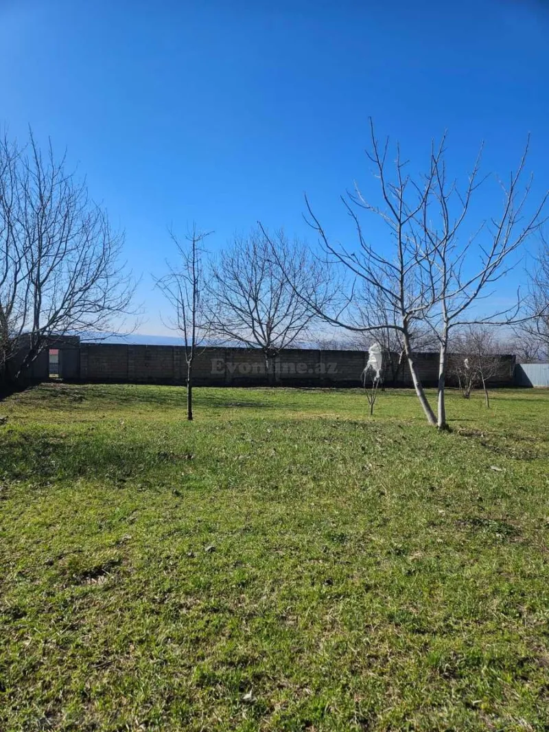 Satılır Torpaq 12 sot İsmayıllı - şəkil 3
