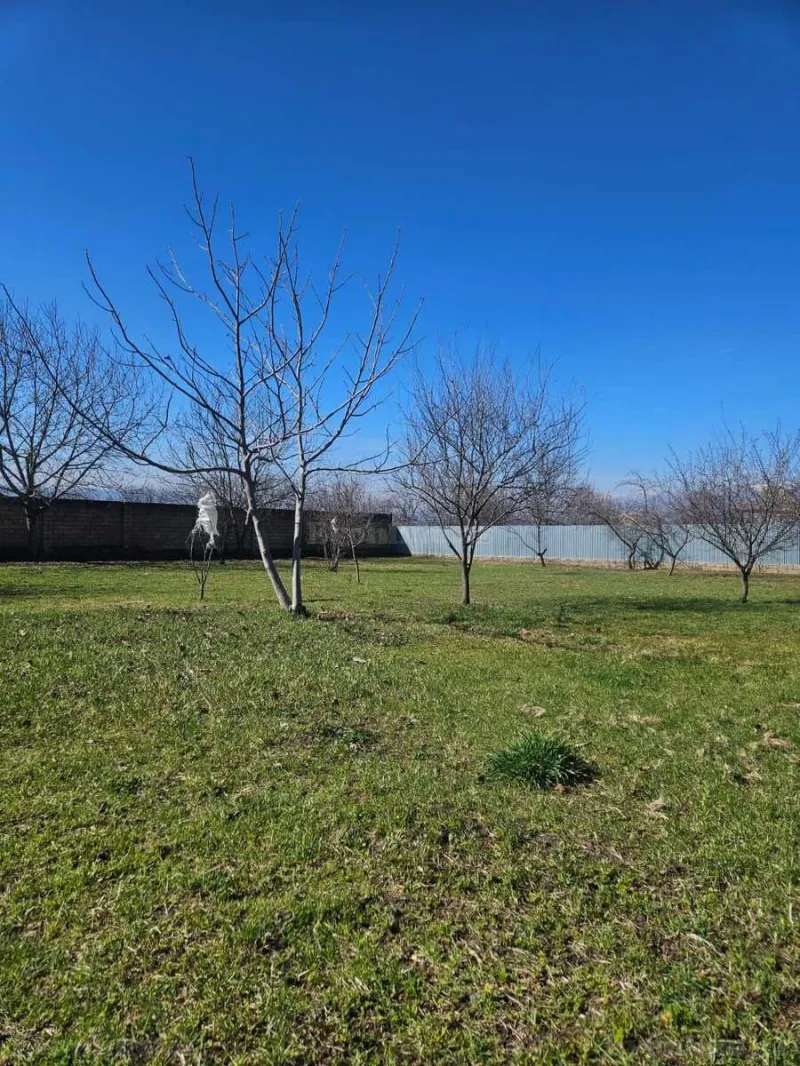 Satılır Torpaq 12 sot İsmayıllı - şəkil 4