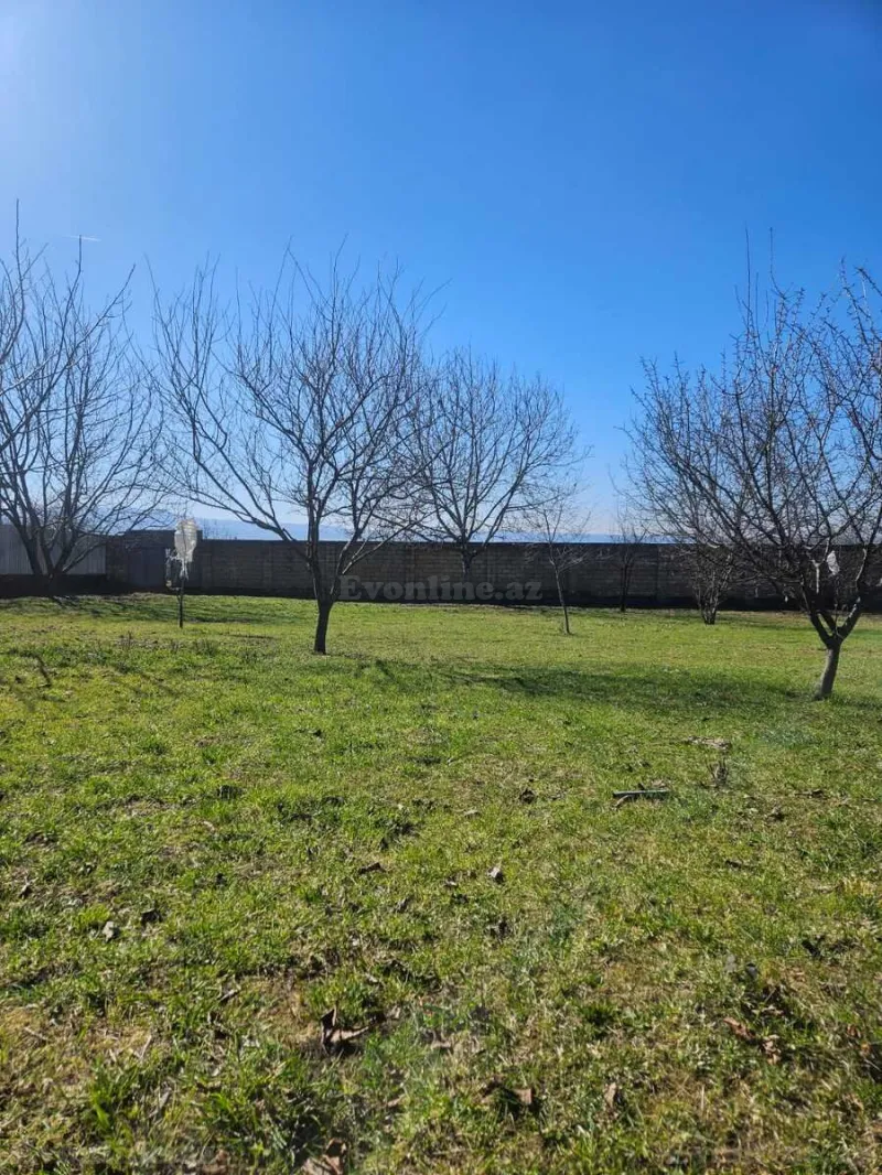 Satılır Torpaq 12 sot İsmayıllı - şəkil 5