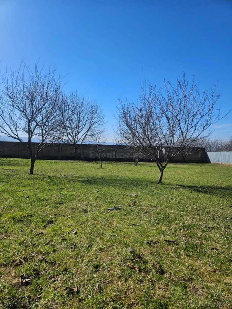 Satılır Torpaq 12 sot İsmayıllı - şəkil 6