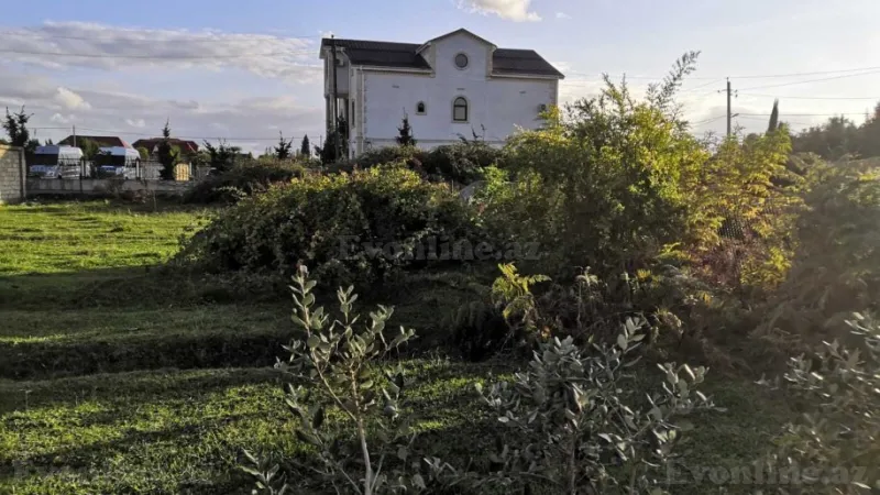 Satılır Torpaq 6 sot Lənkəran - şəkil 3