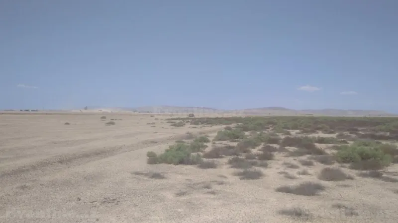 Satılır Torpaq 2500 sot Ələt - şəkil 7