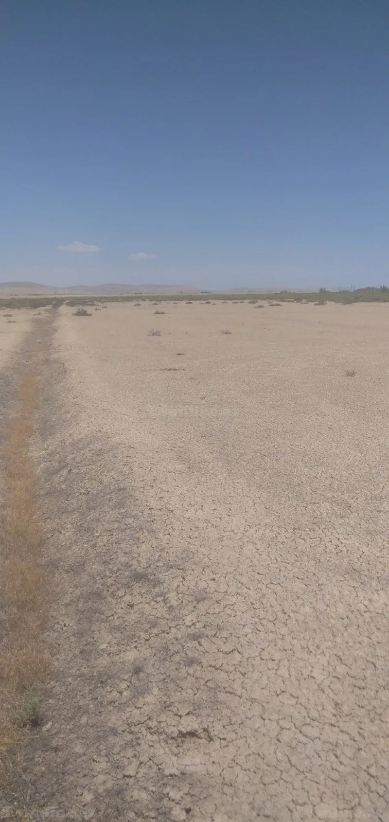 Satılır Torpaq 2500 sot Ələt - şəkil 8