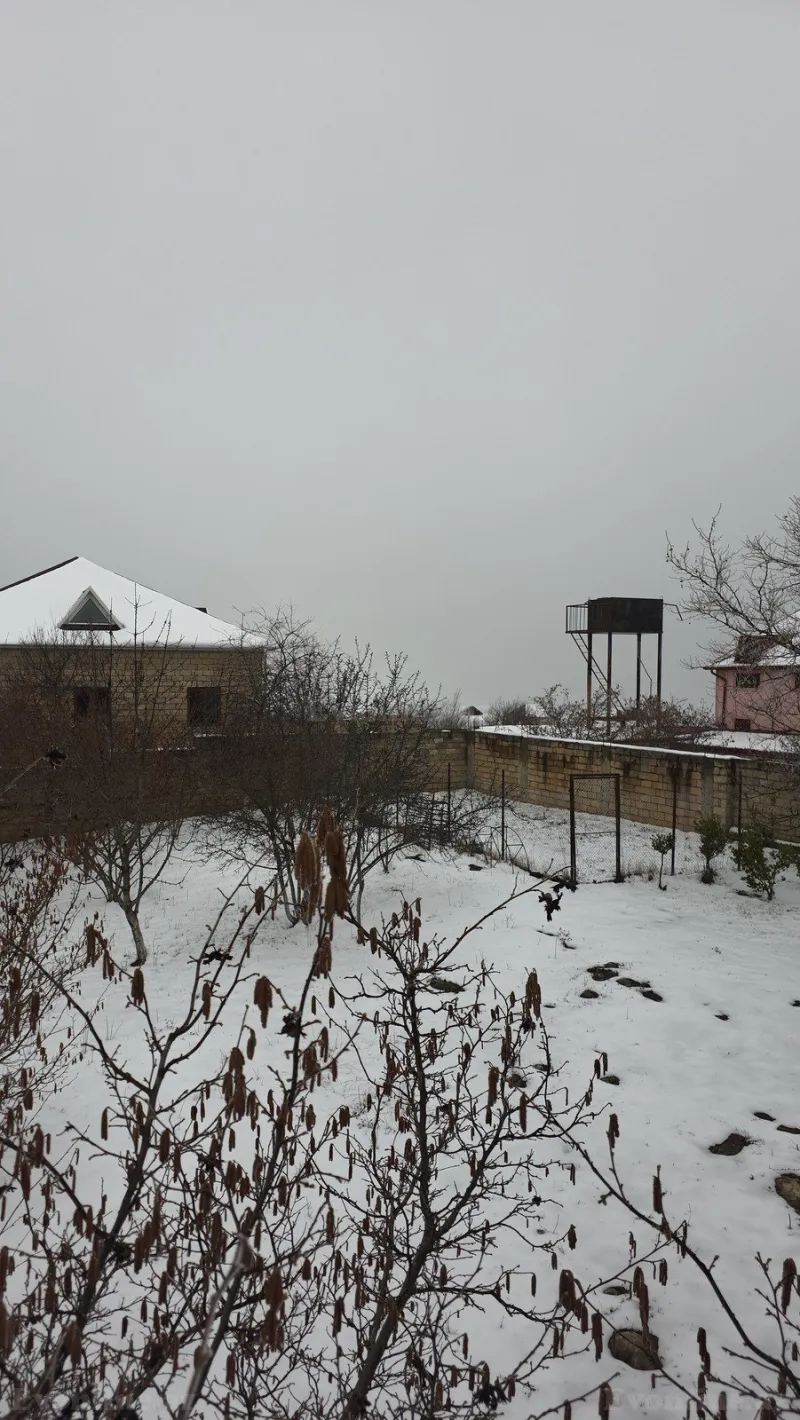 Torpaq Şamaxı Satılır