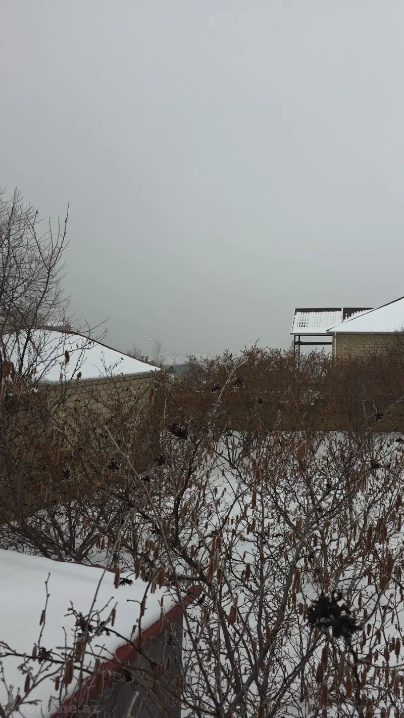 Satılır Torpaq 8 sot Şamaxı - şəkil 2