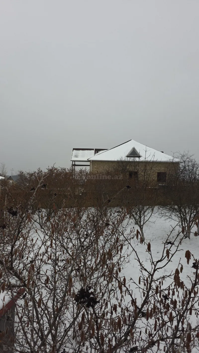 Satılır Torpaq 8 sot Şamaxı - şəkil 3