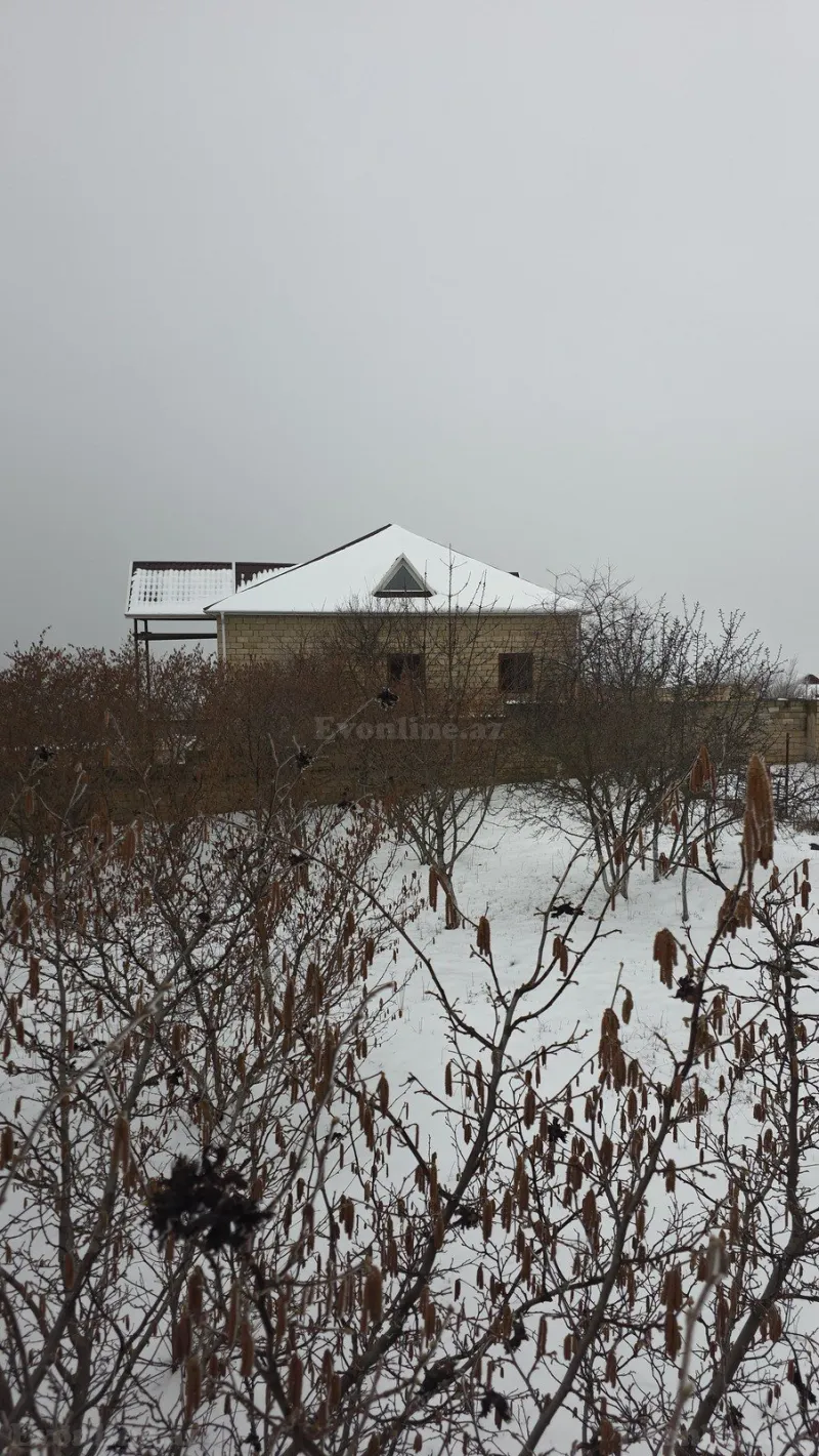 Satılır Torpaq 8 sot Şamaxı - şəkil 4