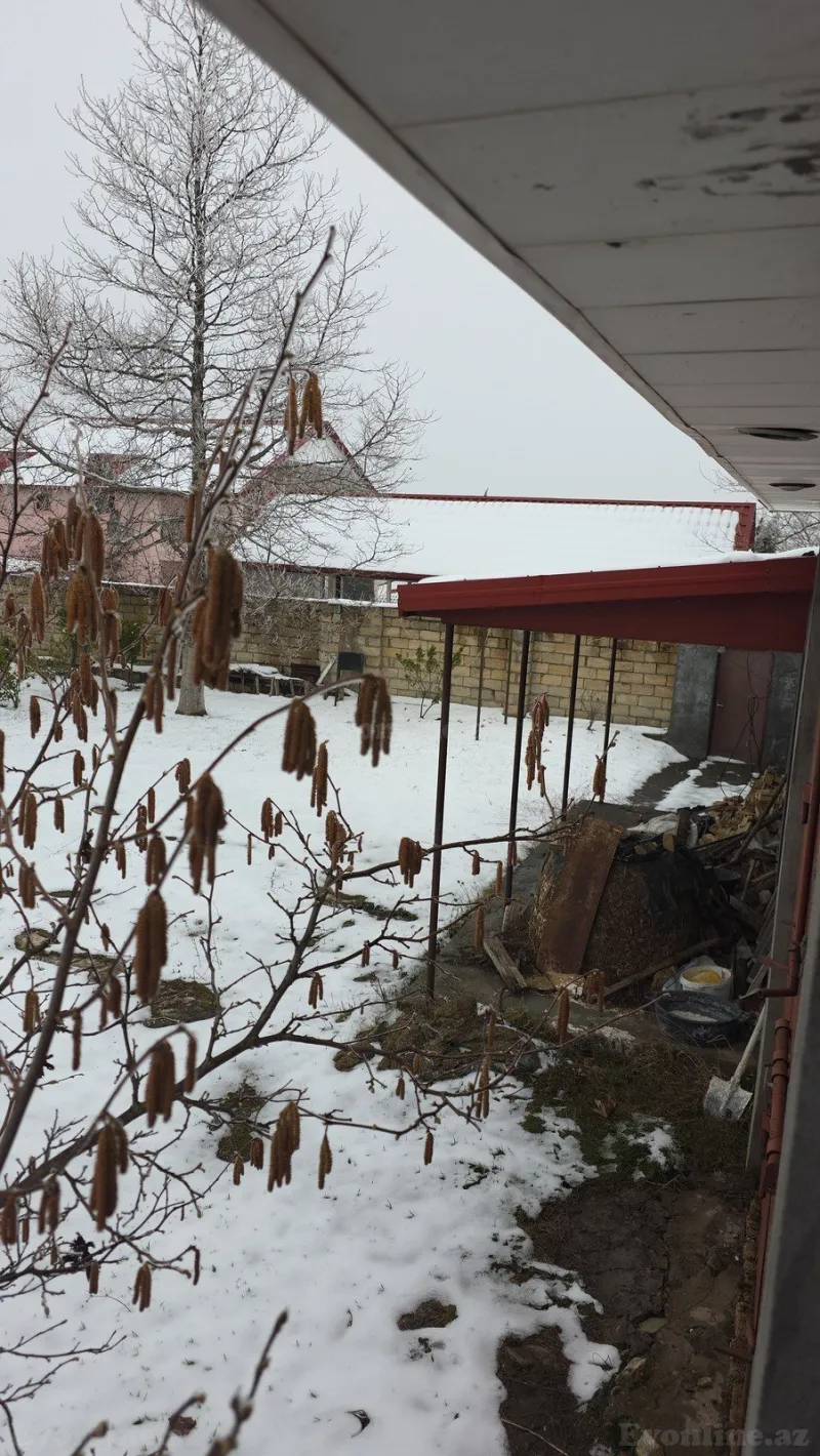 Satılır Torpaq 8 sot Şamaxı - şəkil 5