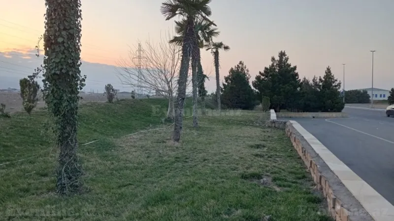 Satılır Torpaq 90 sot Gəncə - şəkil 2