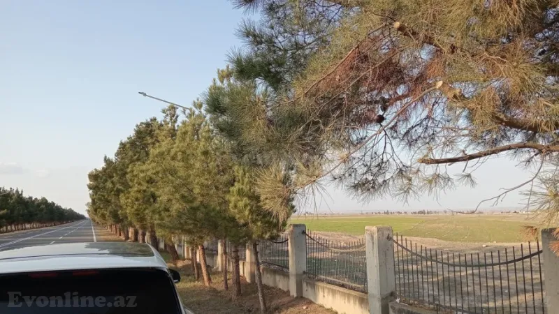 Satılır Torpaq 90 sot Gəncə - şəkil 6