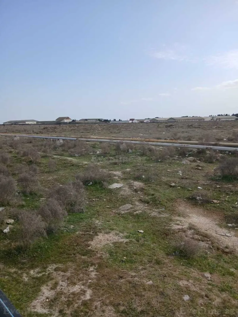 Satılır Torpaq 1100 sot Buzovna - şəkil 2