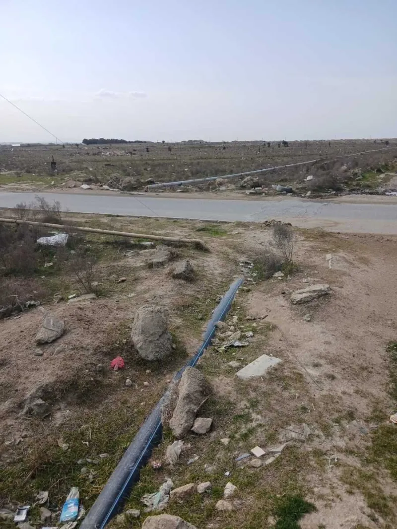 Satılır Torpaq 1100 sot Buzovna - şəkil 3