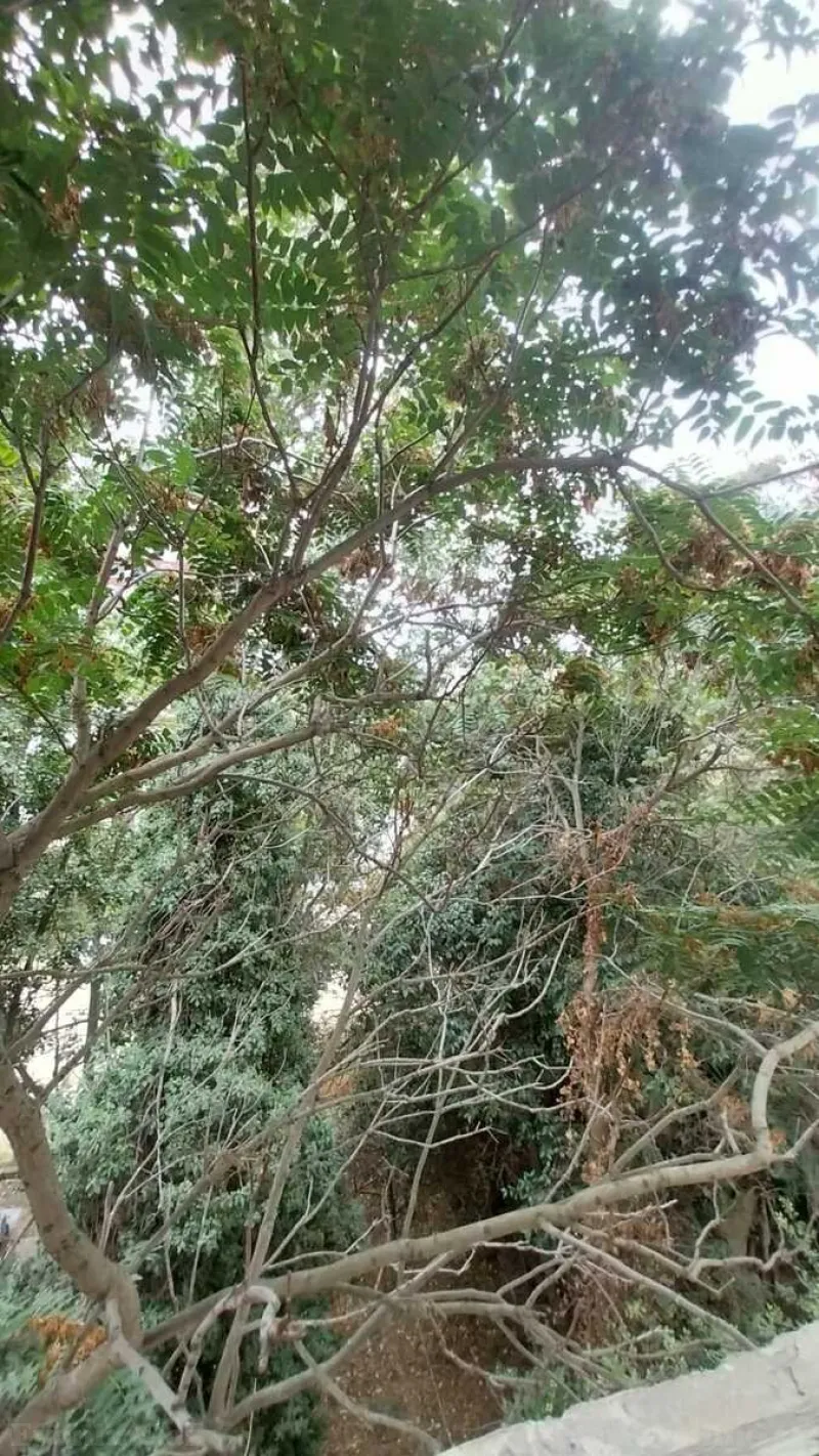 Satılır 3 otaqlı Mənzil Köhnə tikili 70 m² 5-ci mikrorayon - şəkil 9