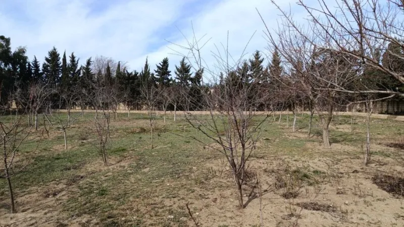 Satılır Torpaq 33 sot Nardaran