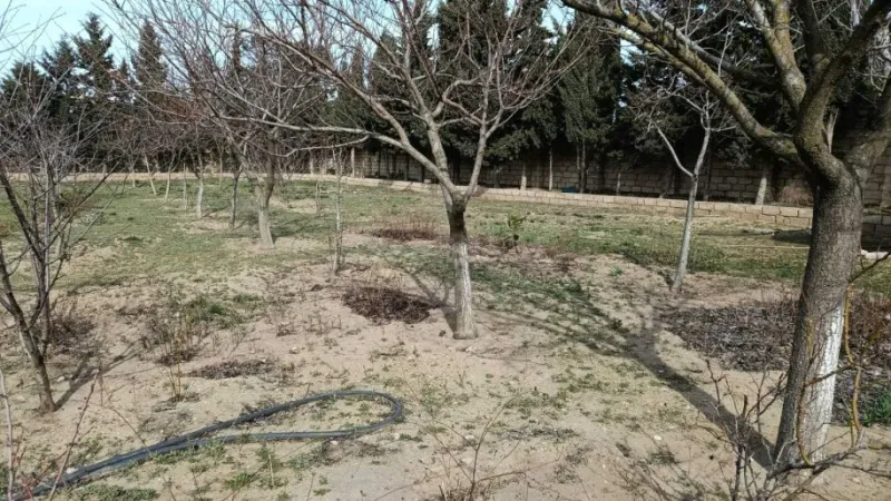 Satılır Torpaq 33 sot Nardaran - şəkil 2