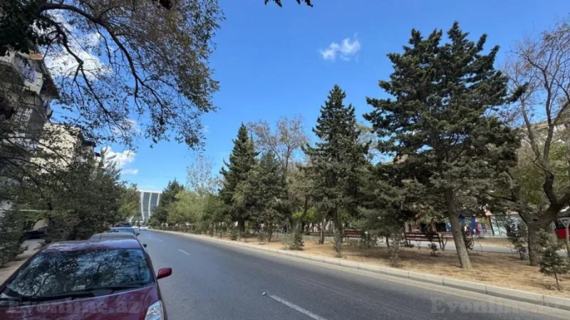 Kirayə verilir Ofis 45 m² Qara Qarayev m. - şəkil 14