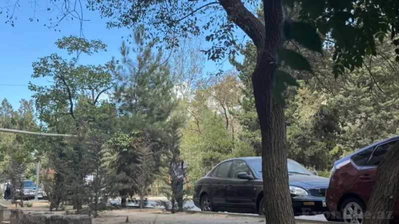 Kirayə verilir Ofis 45 m² Qara Qarayev m. - şəkil 15