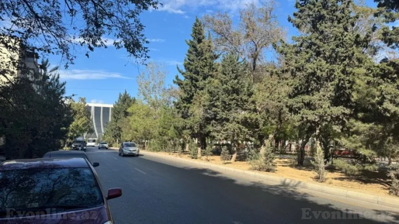 Kirayə verilir Ofis 45 m² Qara Qarayev m. - şəkil 17