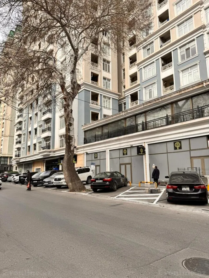 Kirayə verilir Obyekt 170 m² Nəsimi r.