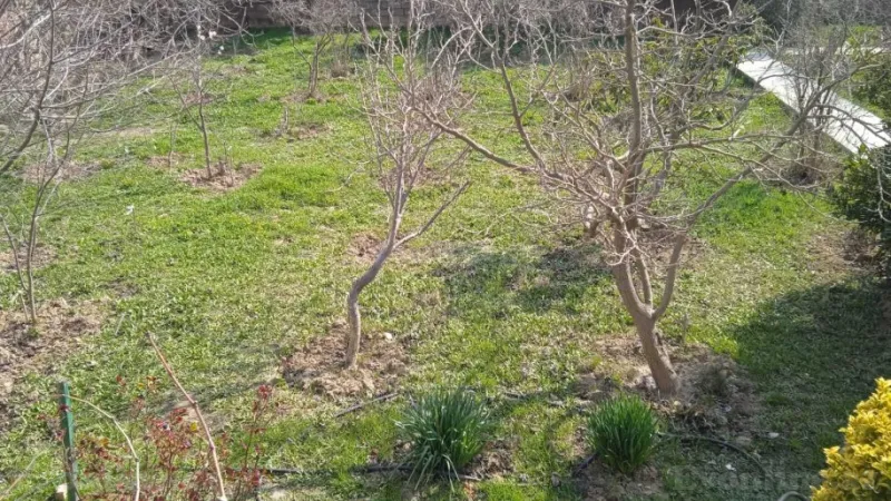 Satılır Torpaq 3 sot Badamdar - şəkil 2