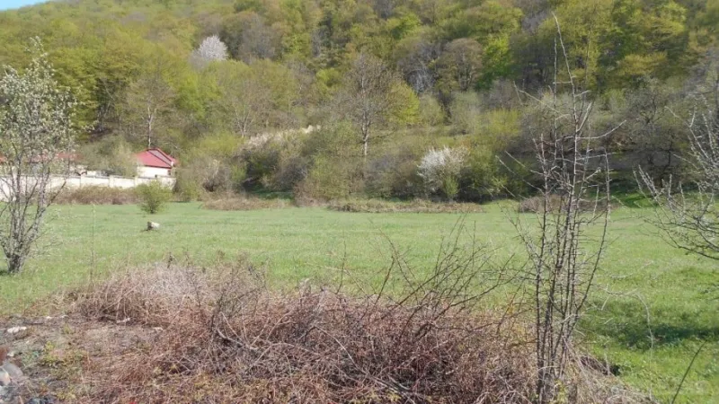 Satılır Torpaq 81 sot Quba - şəkil 7