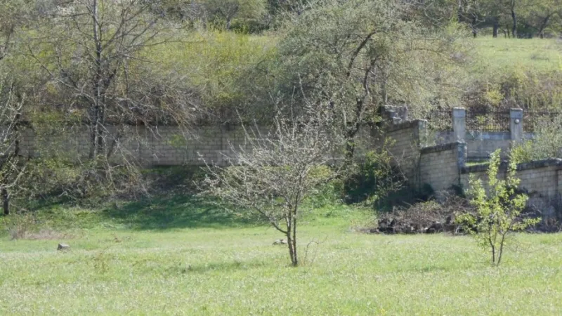 Satılır Torpaq 81 sot Quba - şəkil 8