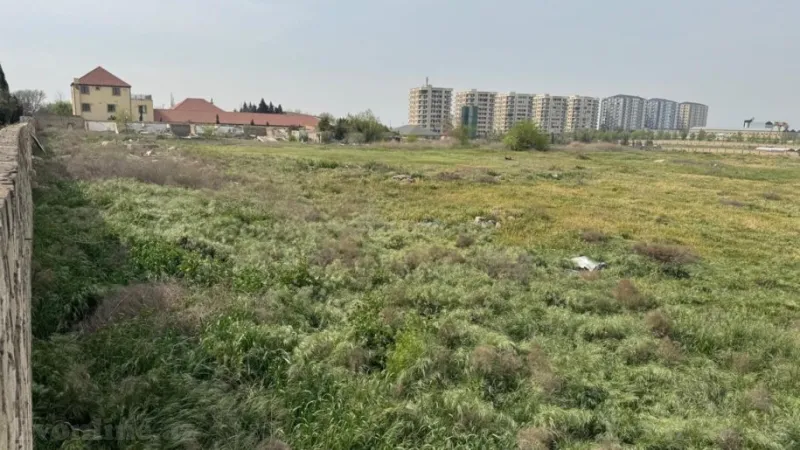 Satılır Torpaq 340 sot Abşeron r. - şəkil 2