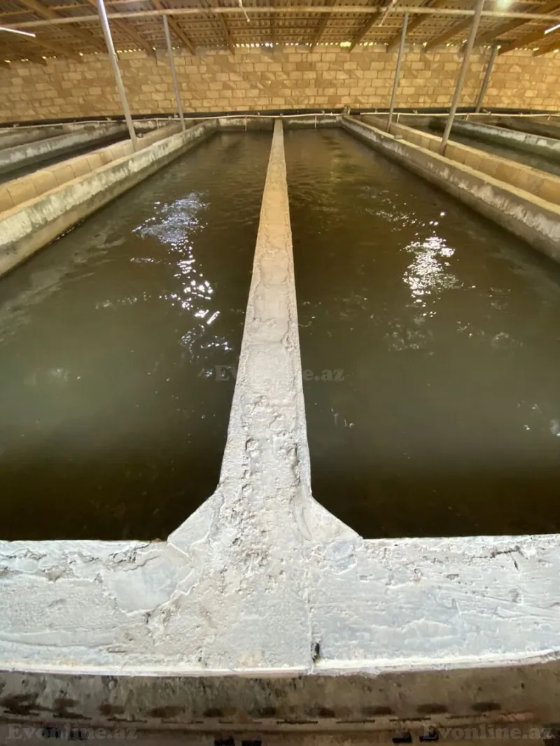 Satılır Obyekt 150 m² Salyan - şəkil 2