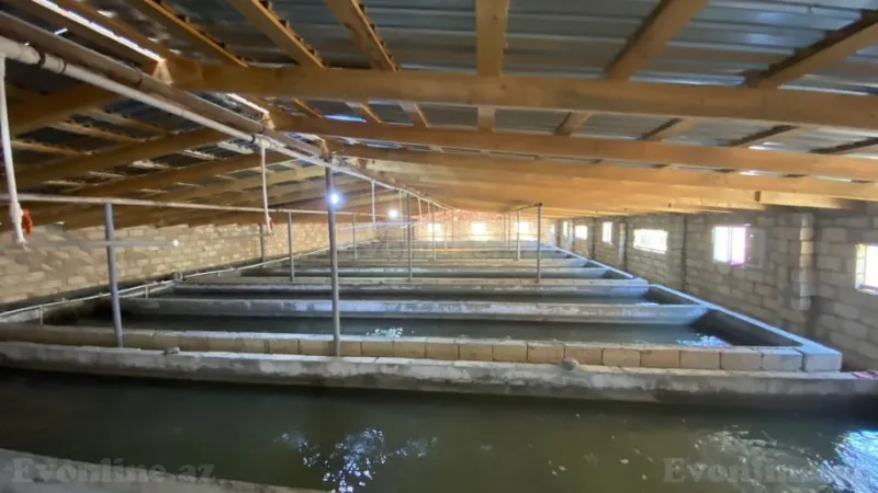 Satılır Obyekt 150 m² Salyan - şəkil 5