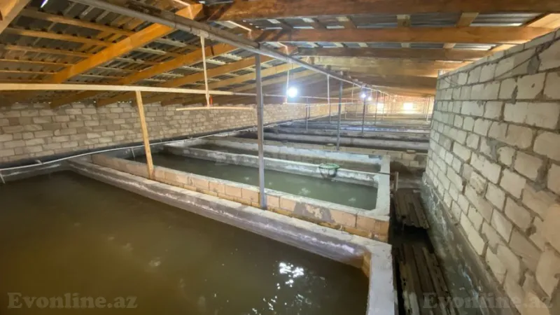 Satılır Obyekt 150 m² Salyan - şəkil 20