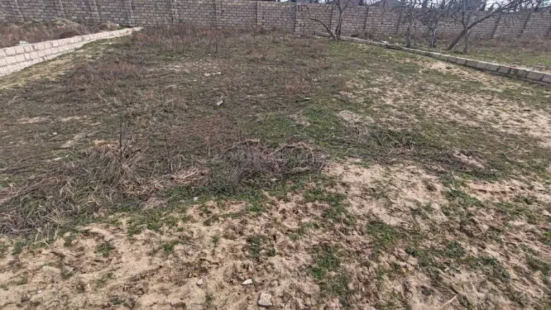 Satılır Torpaq 4 sot Nardaran - şəkil 3