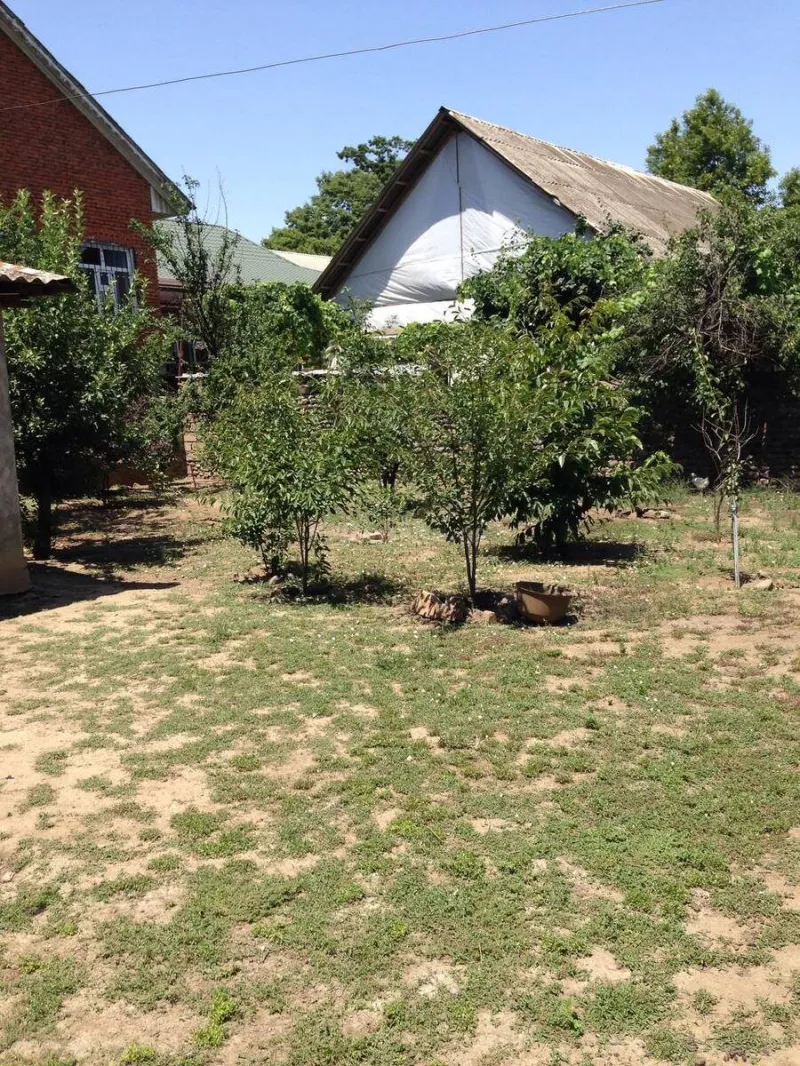 Satılır Torpaq 6 sot Lənkəran - şəkil 3