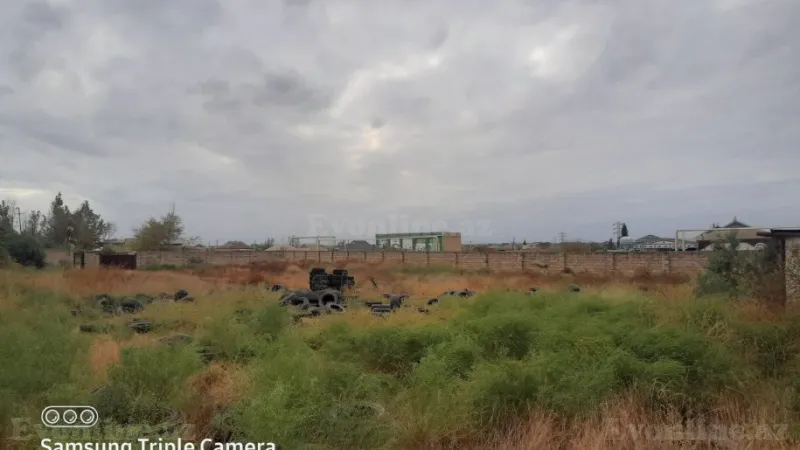 Satılır Torpaq 90 sot Şirvan - şəkil 6