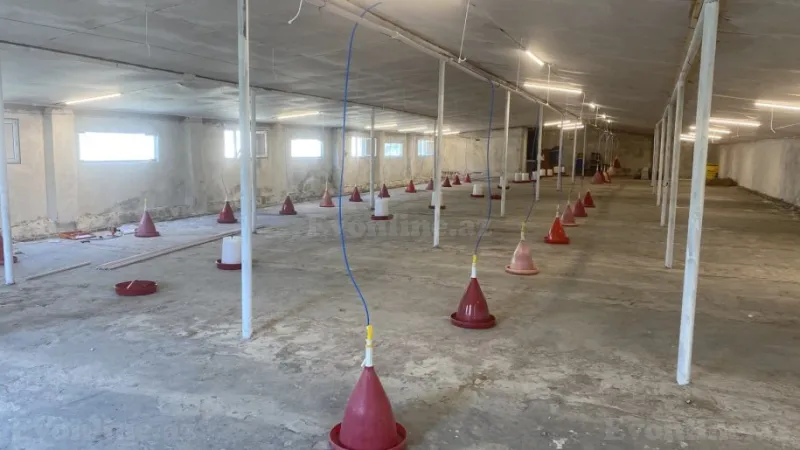 Obyekt 1050 m² Salyan Satılır