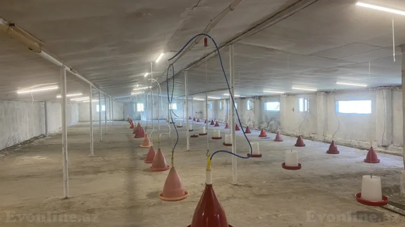 Satılır Obyekt 1050 m² Salyan - şəkil 2