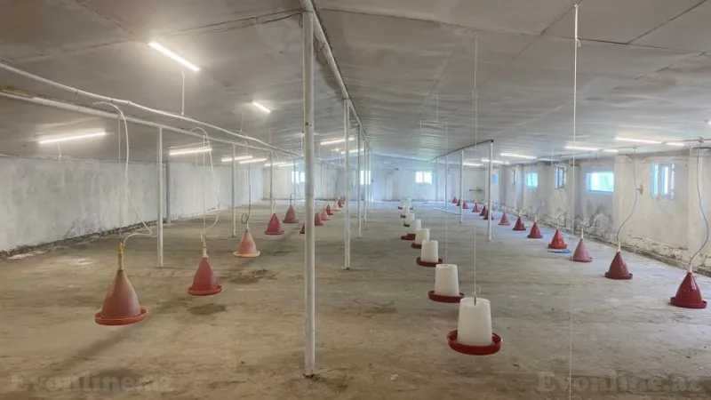 Satılır Obyekt 1050 m² Salyan - şəkil 3