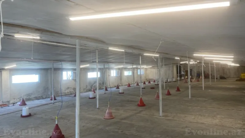 Satılır Obyekt 1050 m² Salyan - şəkil 4