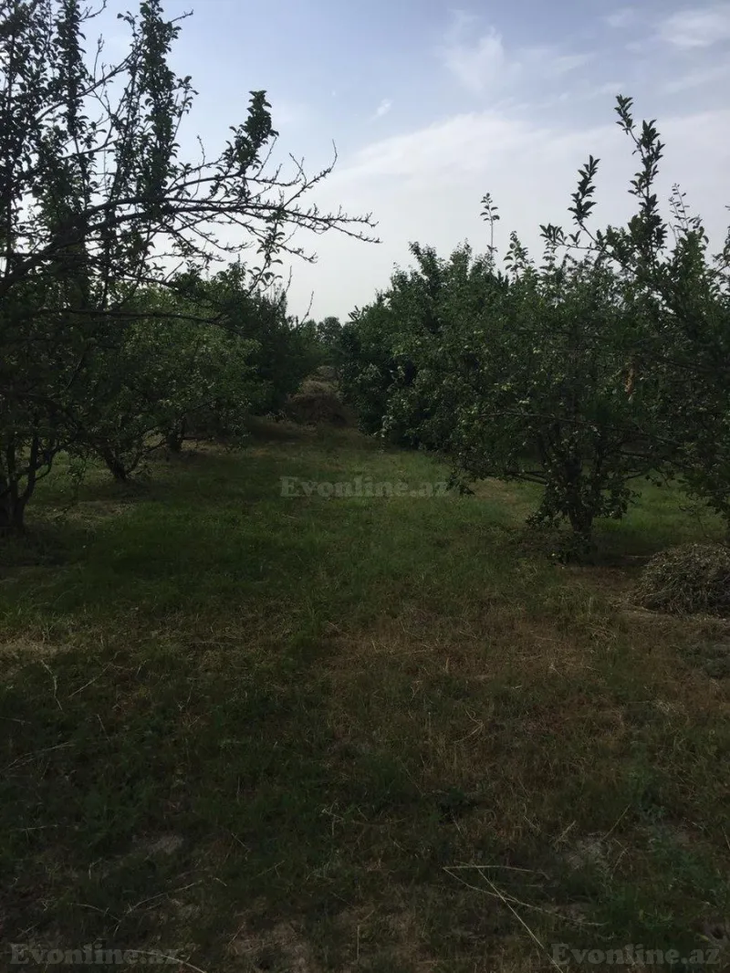 Torpaq Xaçmaz Satılır