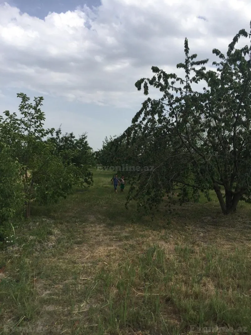 Satılır Torpaq 69 sot Xaçmaz - şəkil 4