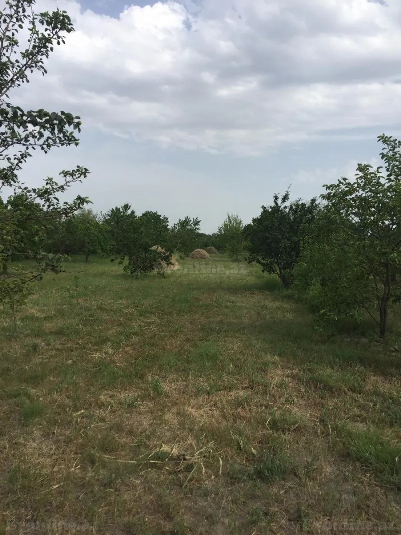 Satılır Torpaq 69 sot Xaçmaz - şəkil 5