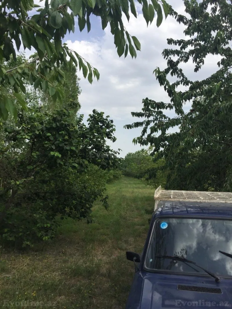 Satılır Torpaq 69 sot Xaçmaz - şəkil 6