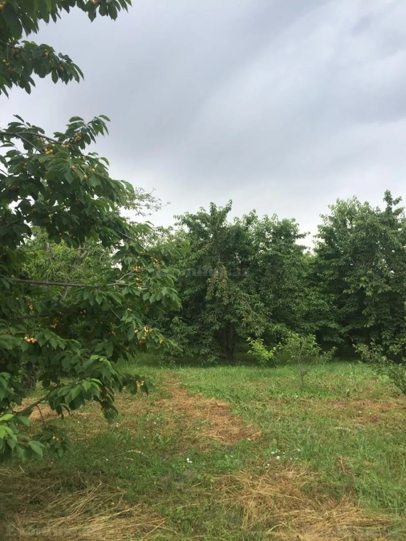 Satılır Torpaq 69 sot Xaçmaz - şəkil 11