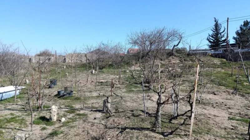 Satılır Torpaq 12 sot Nardaran