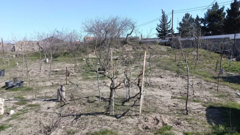 Satılır Torpaq 12 sot Nardaran - şəkil 2